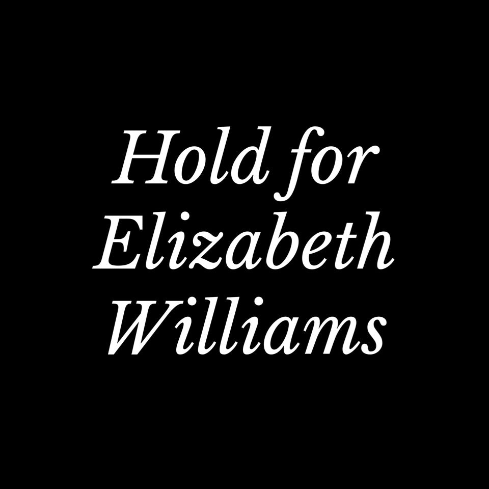 Slip Mini Dress - Hold for Elizabeth Williams