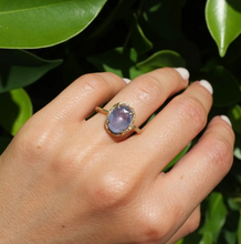 Load image into Gallery viewer, Elisabeth Bell Ceylon Sapphire Ring
