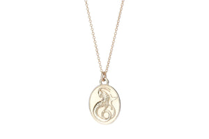 14k Gold Zodiac Necklace - Capricorn